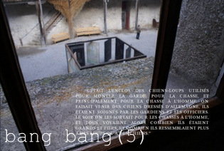 bang bang (5)