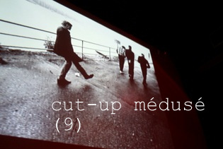 cut-up médusé (9)