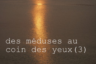 des méduses au coin des yeux (3)