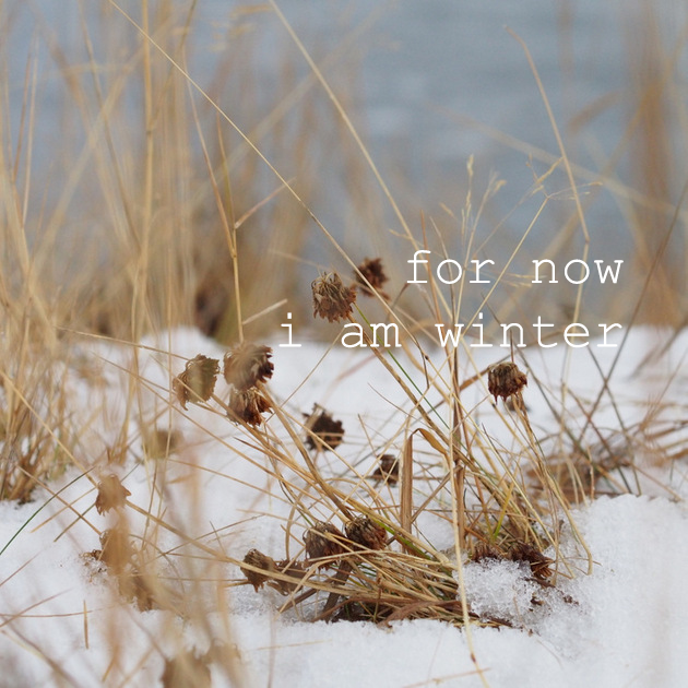 for now i am winter