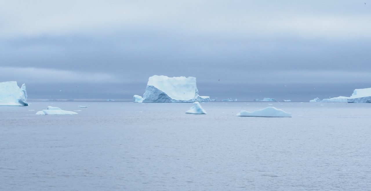 Qeqertarsuaq Disko Island Groenland