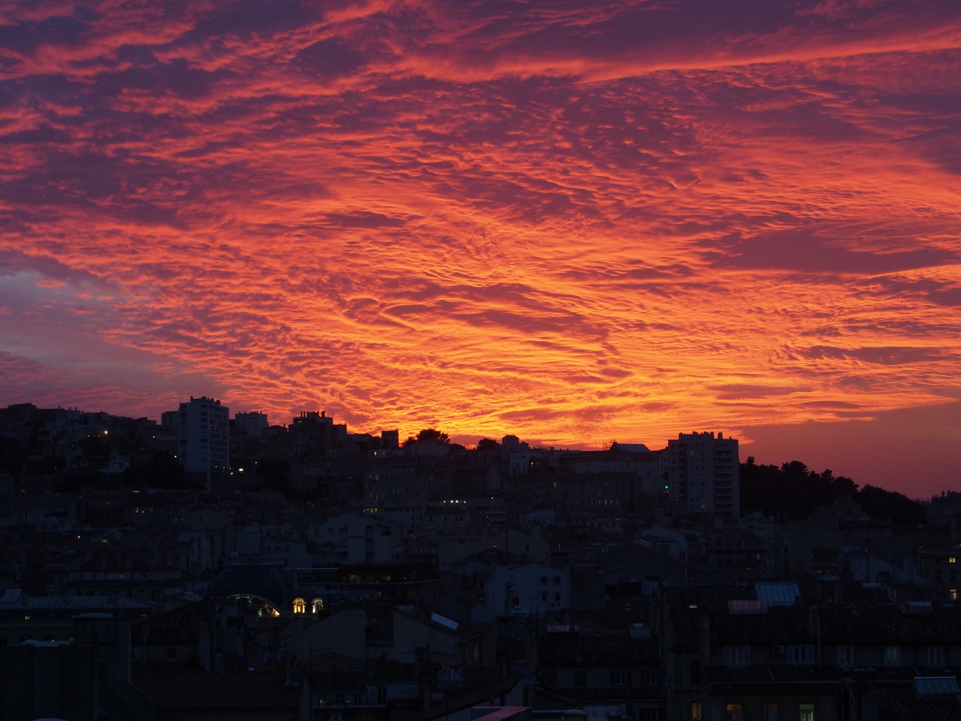 20 novembre, 17h22 © candice nguyen