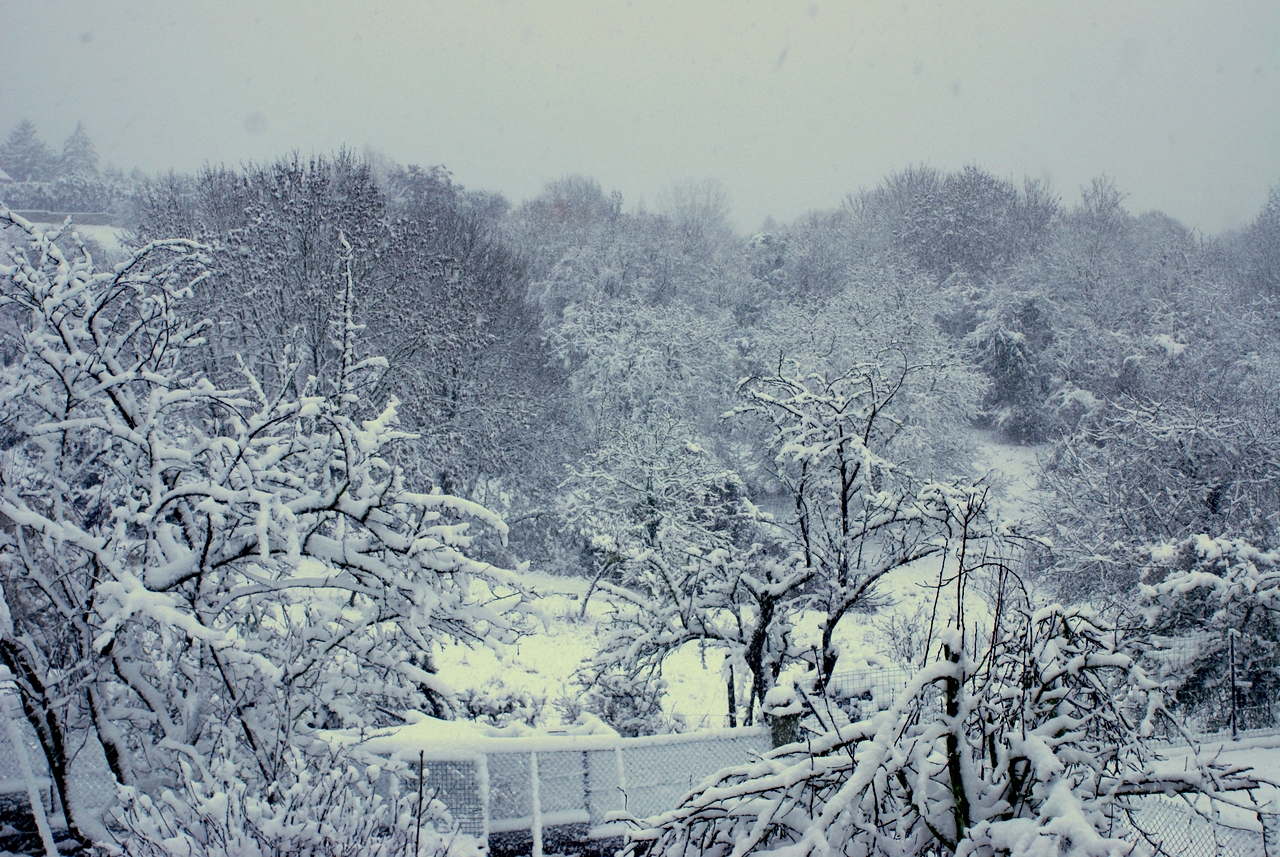 Dammartin en Goële, décembre 2010