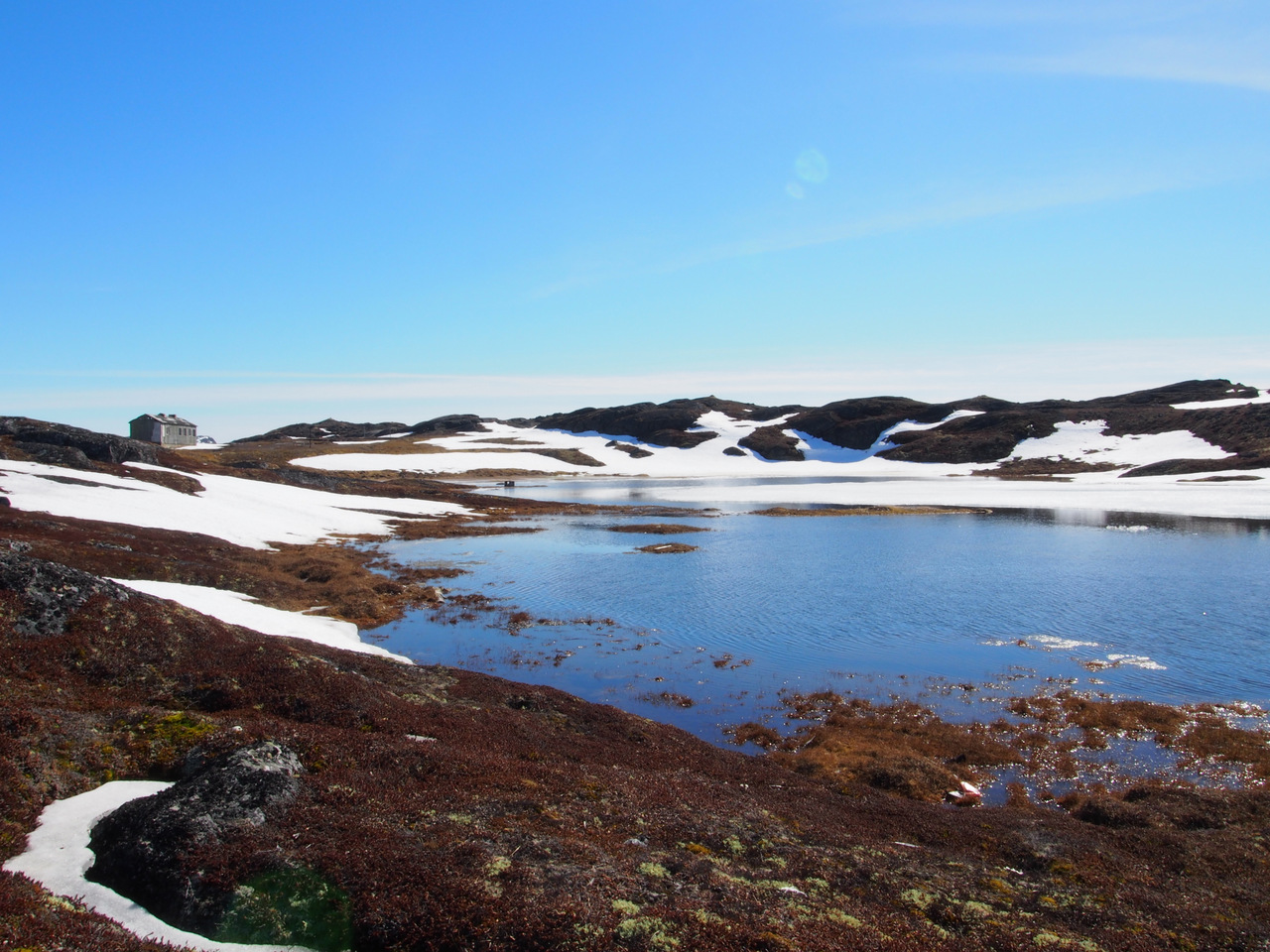 South Maniitsoq, Greenland, June 19th 2015 © candice nguyen