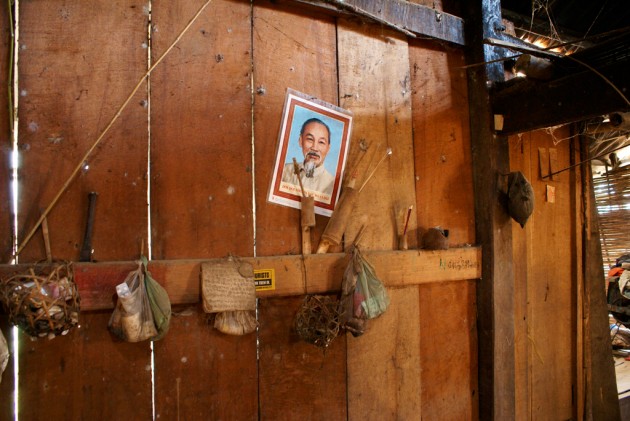 sous les pores de la louve abattue